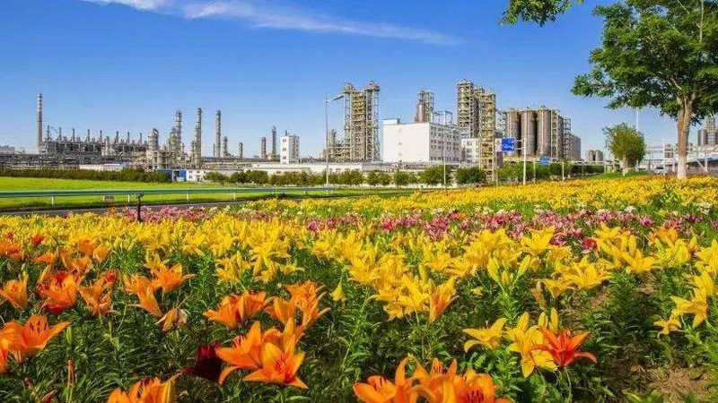 东莞塑料原料批发市场的那些事：揭秘选材之道**